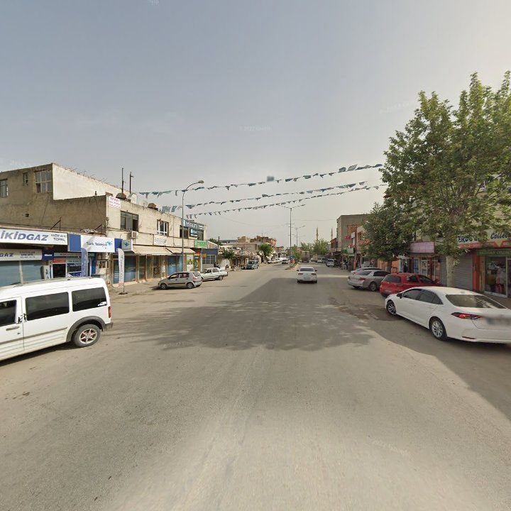 Fotoğraf 9