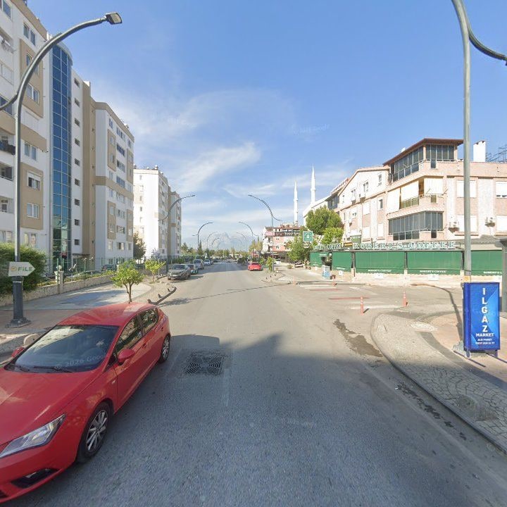 Fotoğraf 7