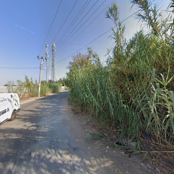 Fotoğraf 6