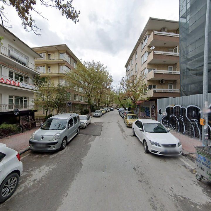 Fotoğraf 13