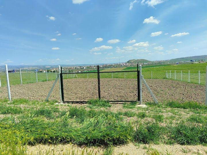 Şimşek bahçesi