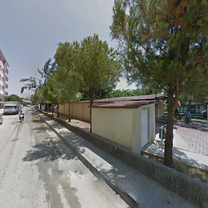 Fotoğraf 7