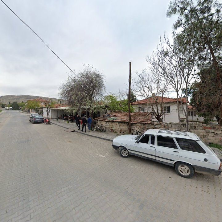 Fotoğraf 7
