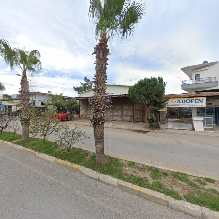 Fotoğraf 7