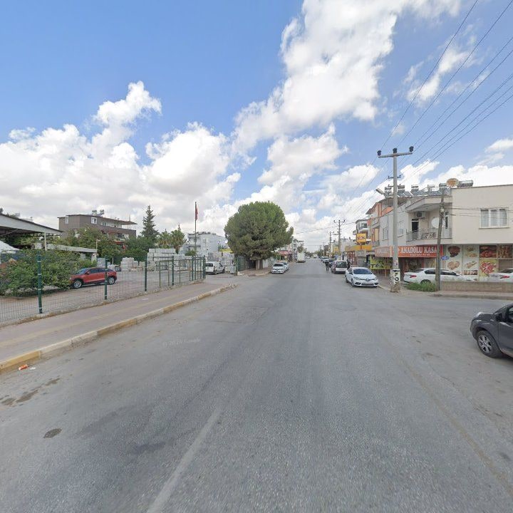 Fotoğraf 8