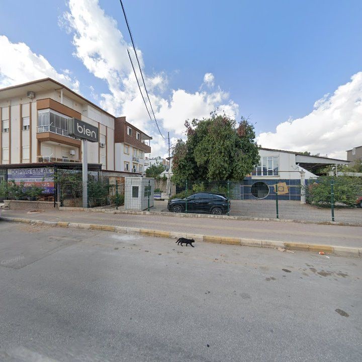 Fotoğraf 7