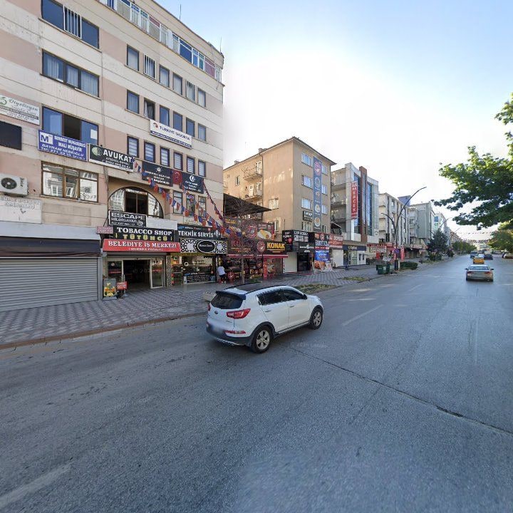 Fotoğraf 8