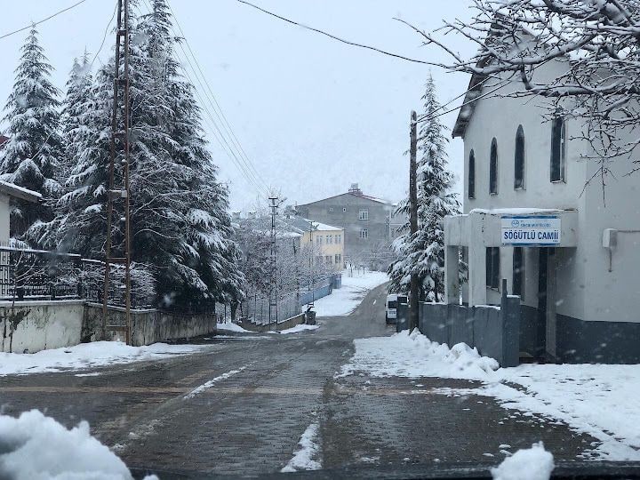Sincikler Yemekçilik