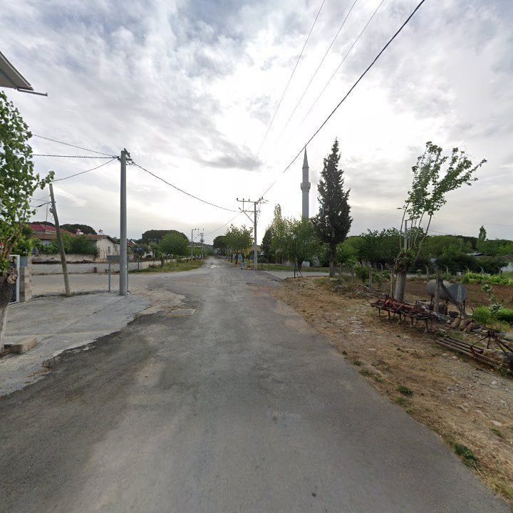 Fotoğraf 6