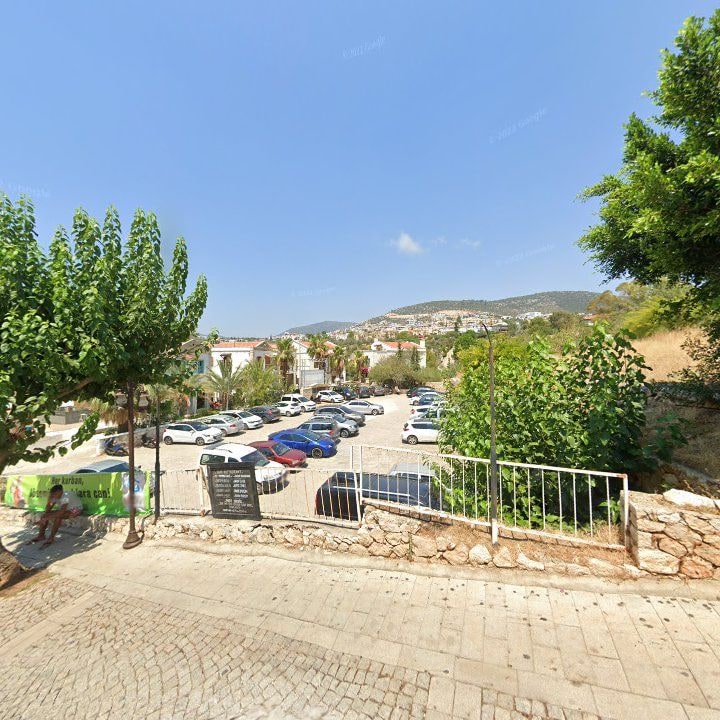 Fotoğraf 13