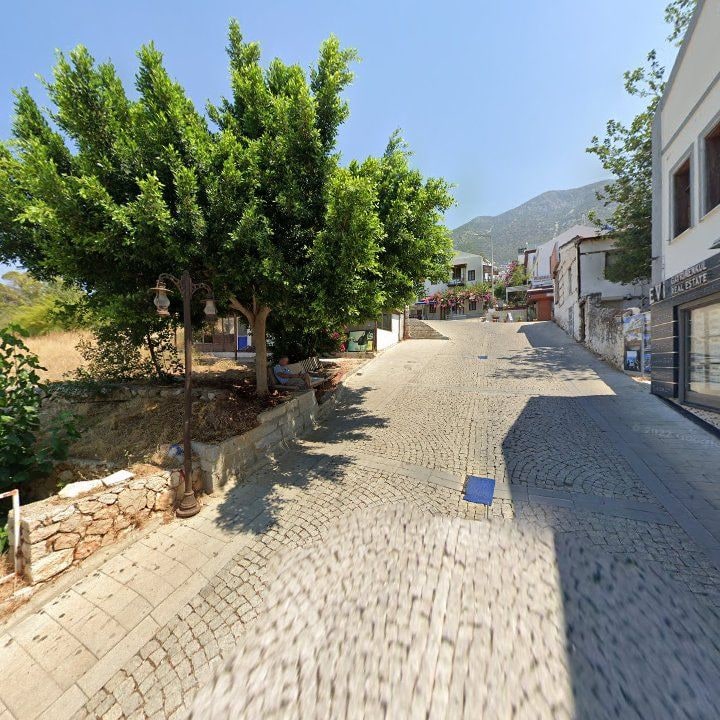 Fotoğraf 14