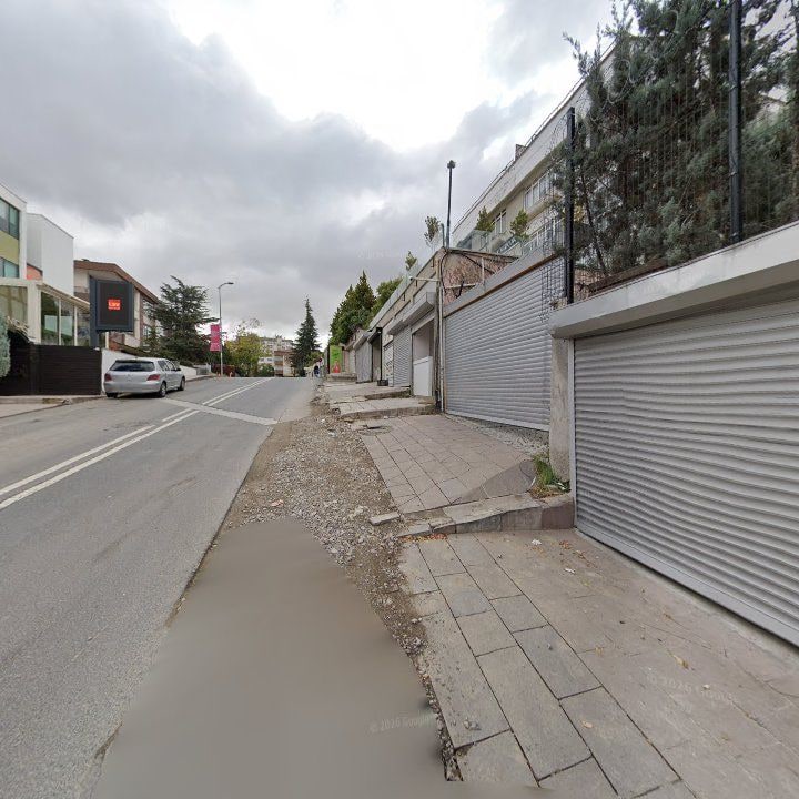 Fotoğraf 12