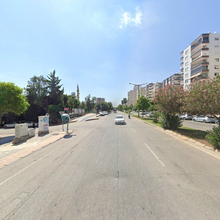 Fotoğraf 10
