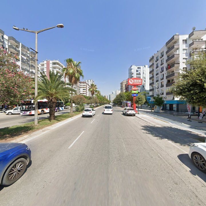 Fotoğraf 12