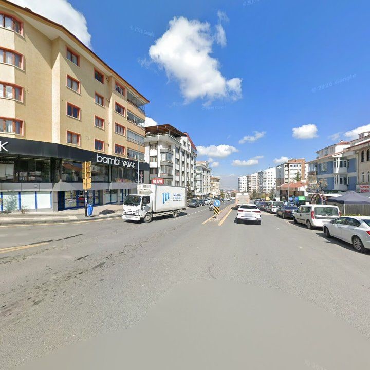 Fotoğraf 12