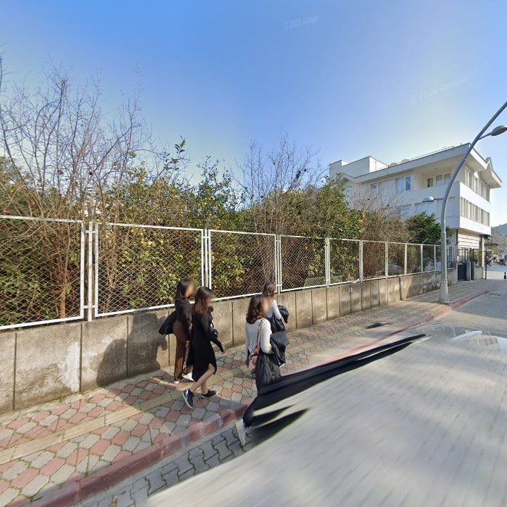 Fotoğraf 12