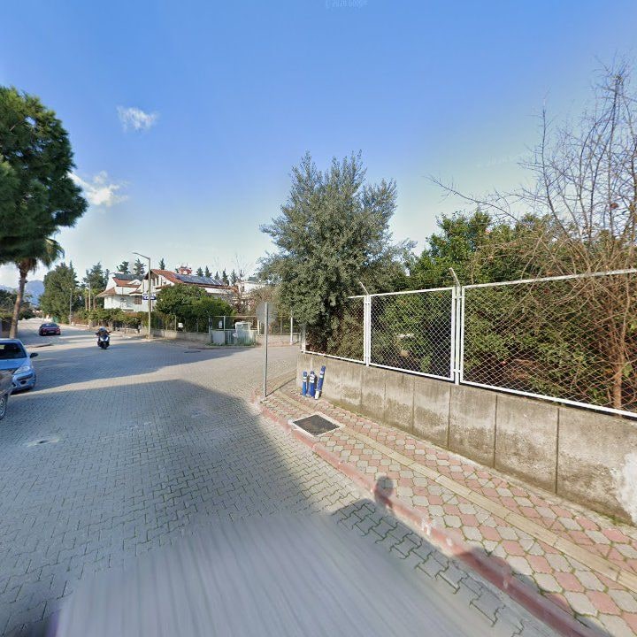 Fotoğraf 11