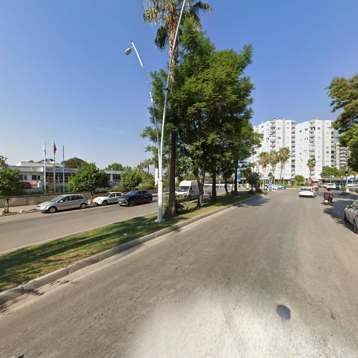 Fotoğraf 7