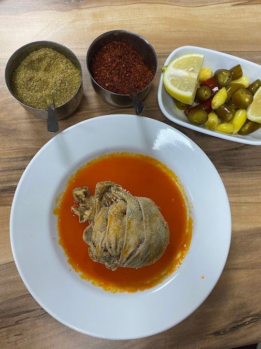 Şırdancı Ceylan