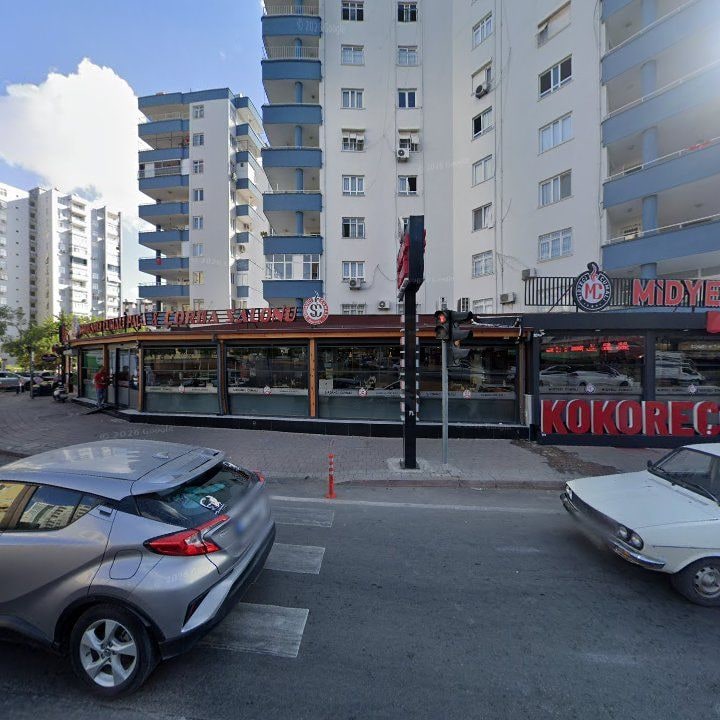 Fotoğraf 11