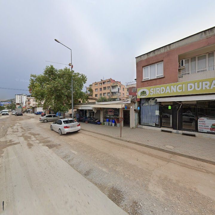 Fotoğraf 9
