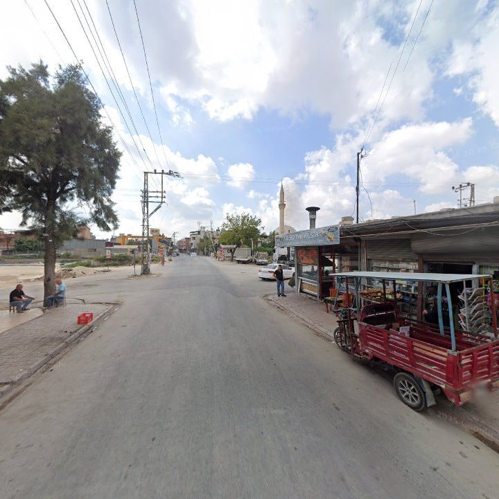 Fotoğraf 5