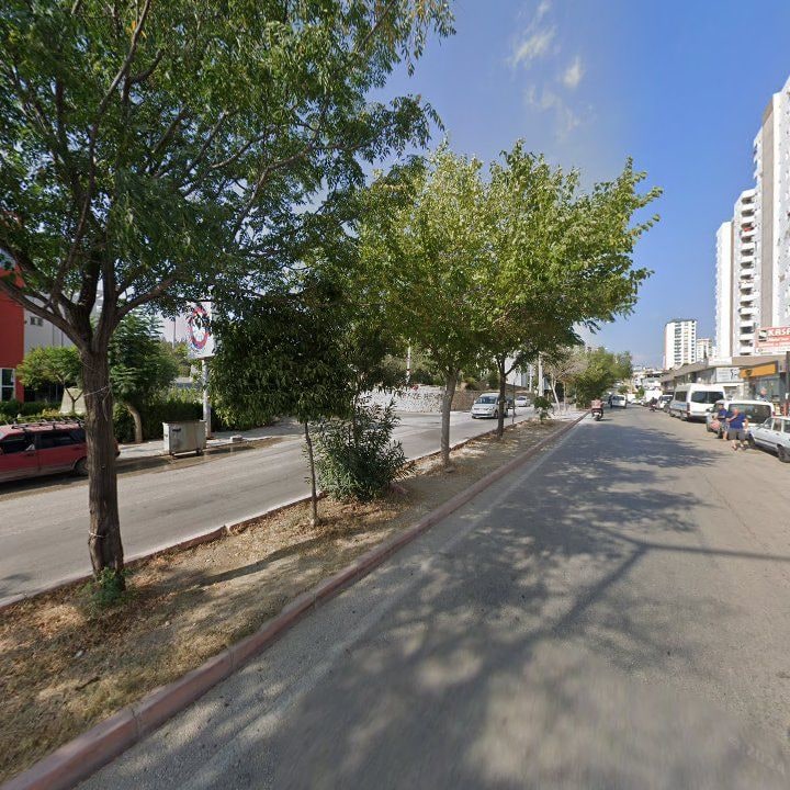Fotoğraf 8