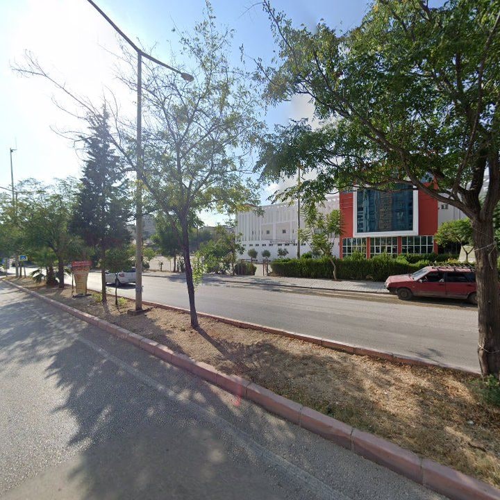 Fotoğraf 7