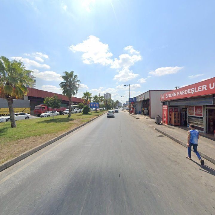 Fotoğraf 7