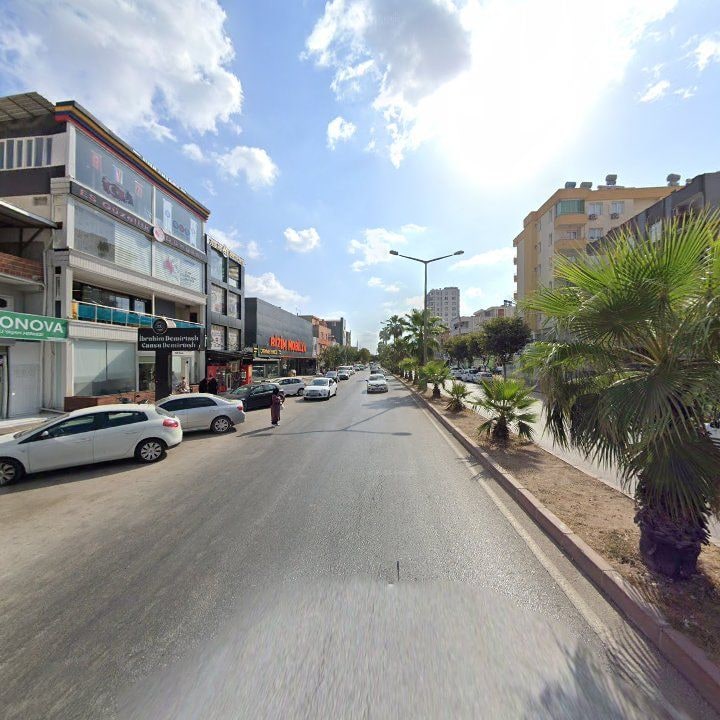 Fotoğraf 7
