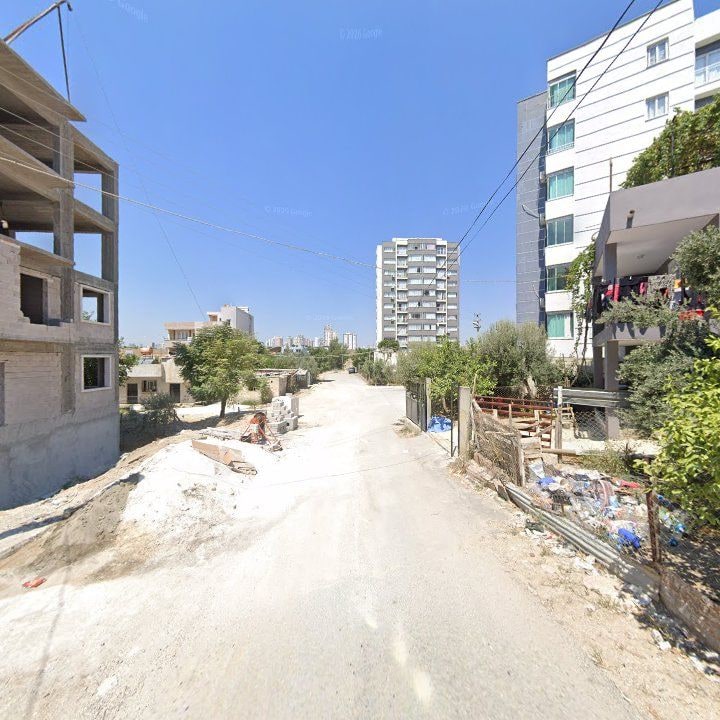 Fotoğraf 8