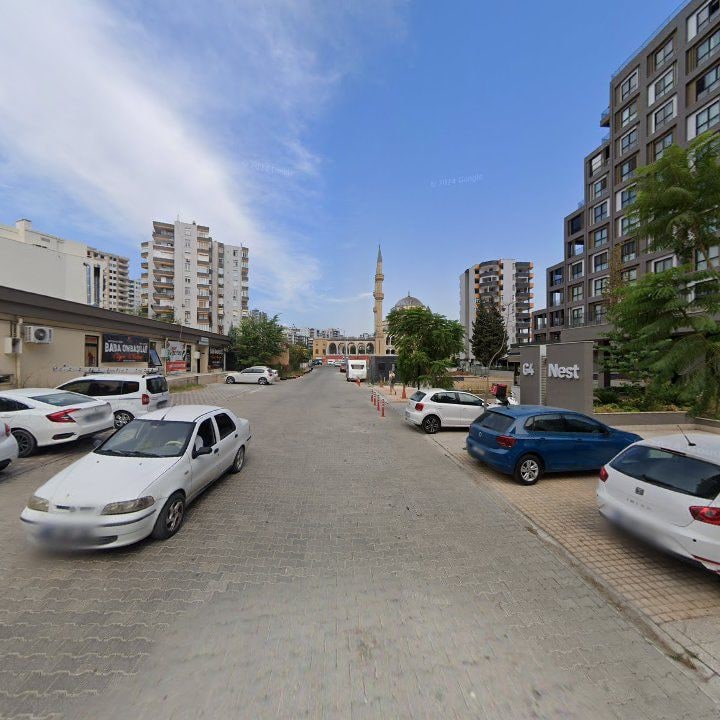 Fotoğraf 8