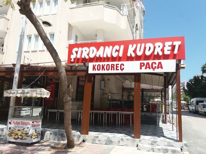 Şırdancı Kudret