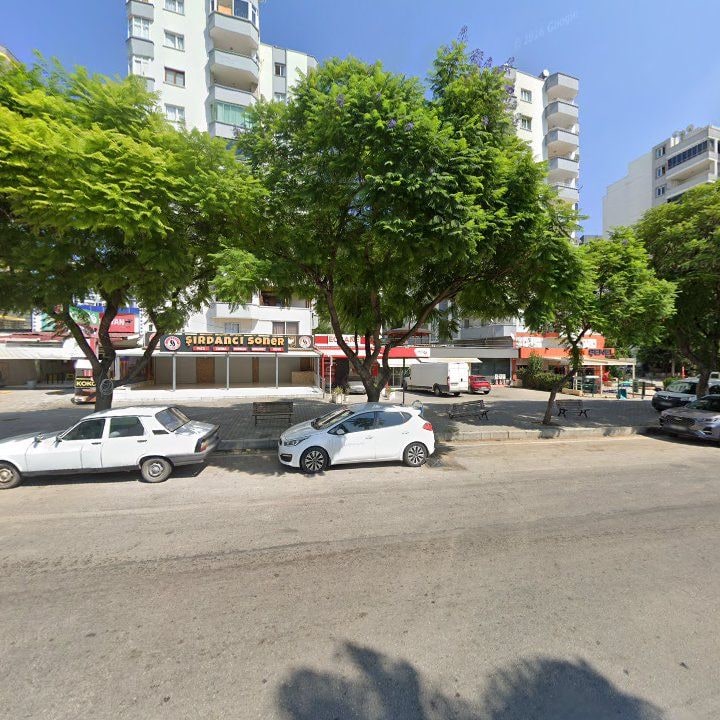 Fotoğraf 8