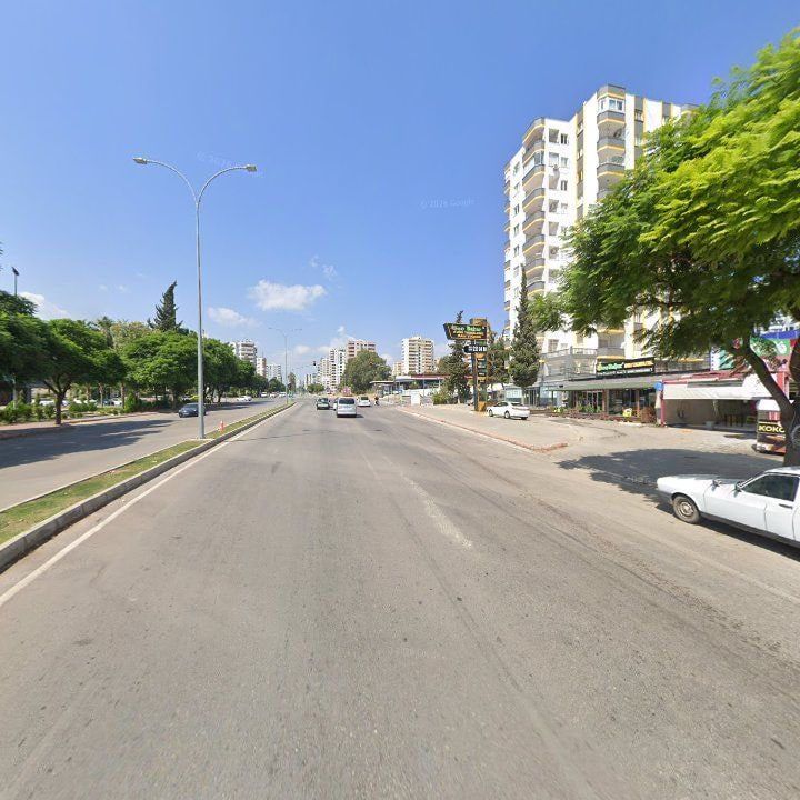 Fotoğraf 11