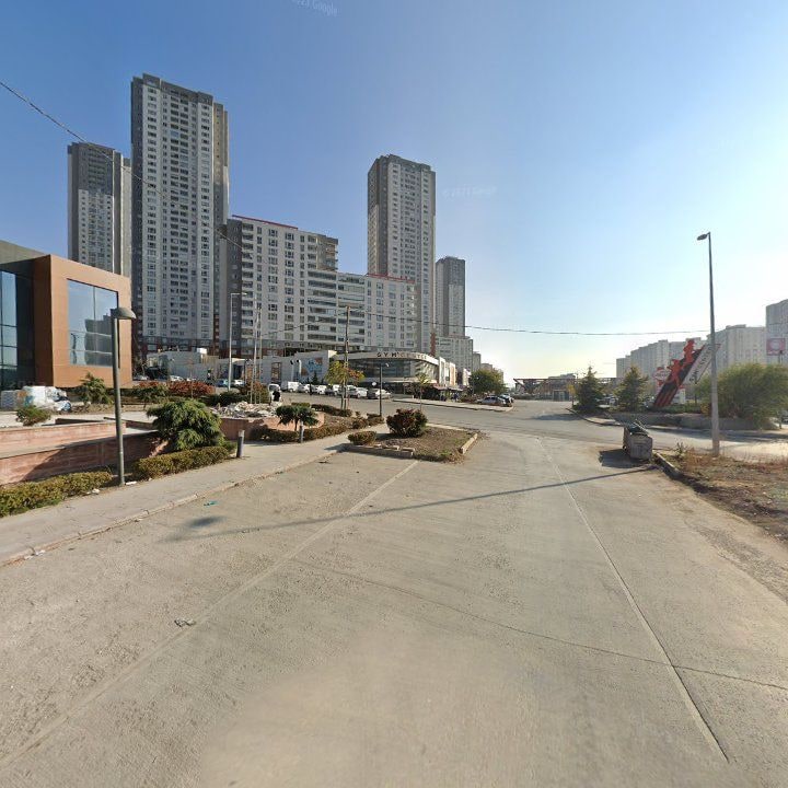 Fotoğraf 11