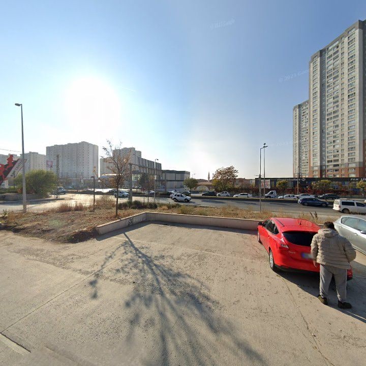 Fotoğraf 12
