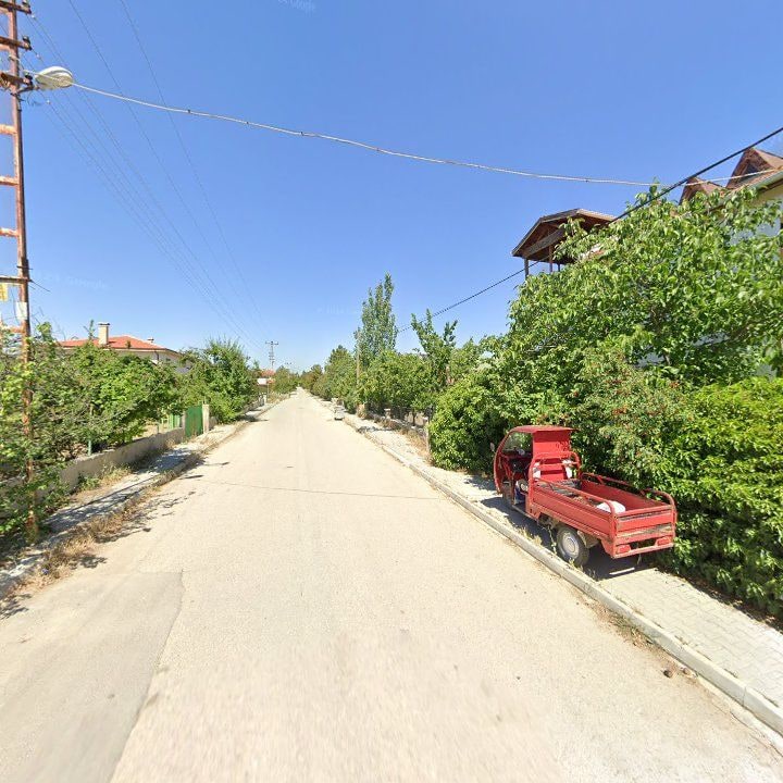 Fotoğraf 8