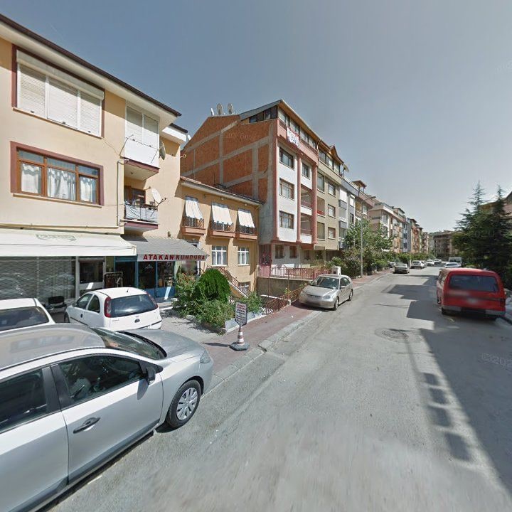 Fotoğraf 11