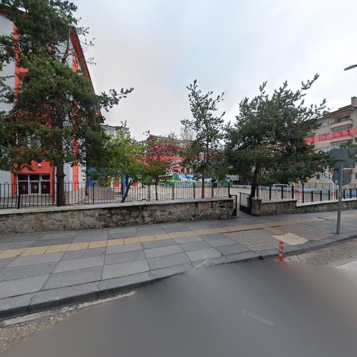 Fotoğraf 11