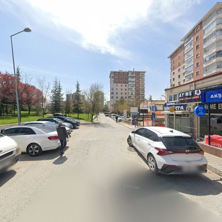Fotoğraf 8