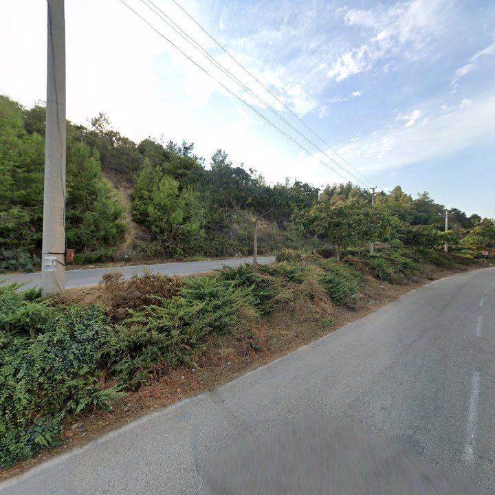 Fotoğraf 10