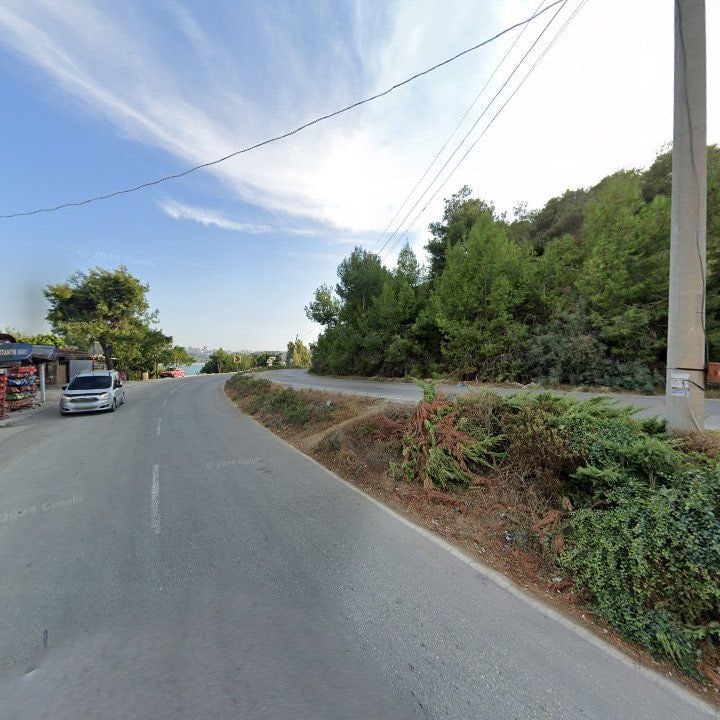Fotoğraf 9
