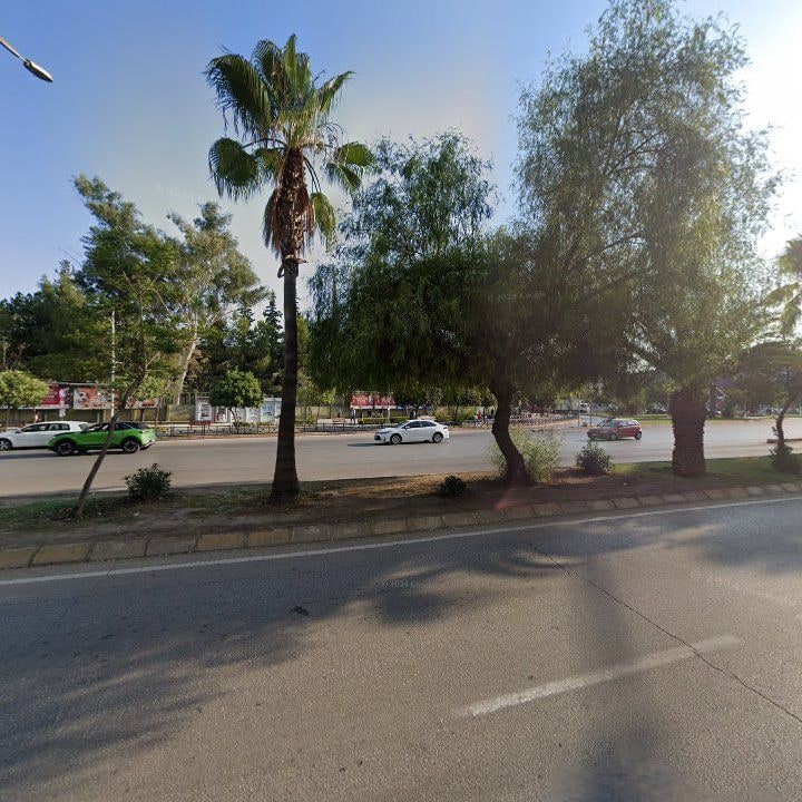 Fotoğraf 10