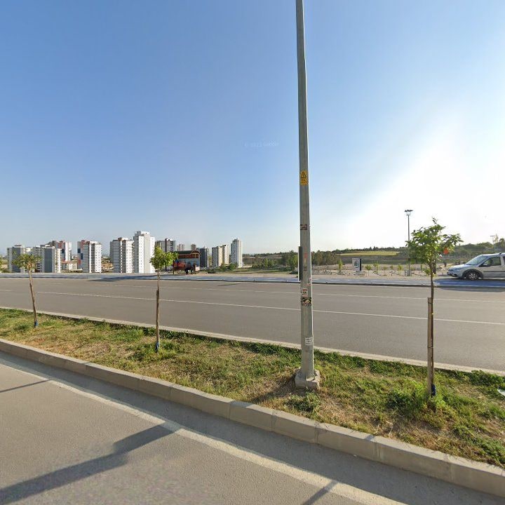 Fotoğraf 11