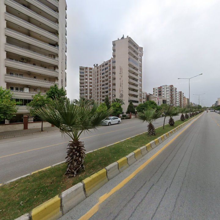 Fotoğraf 10