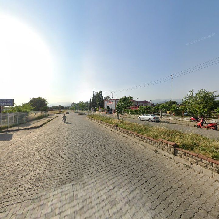 Fotoğraf 8