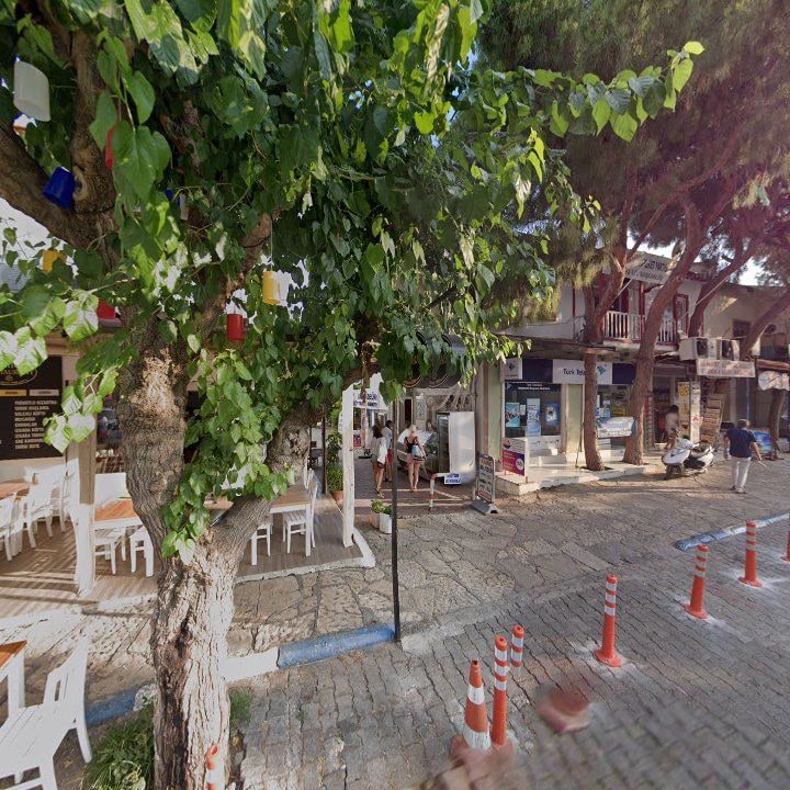 Fotoğraf 11