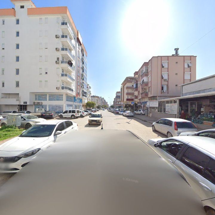 Fotoğraf 7