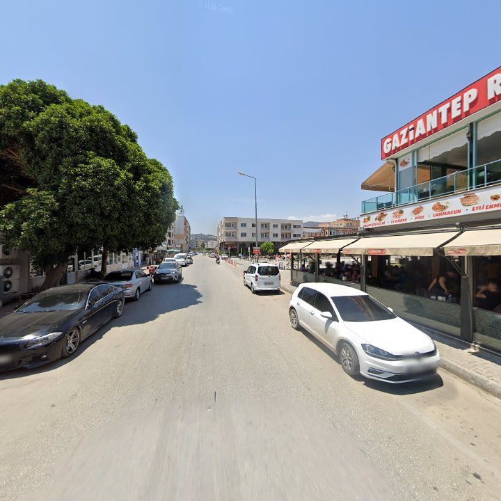 Fotoğraf 12